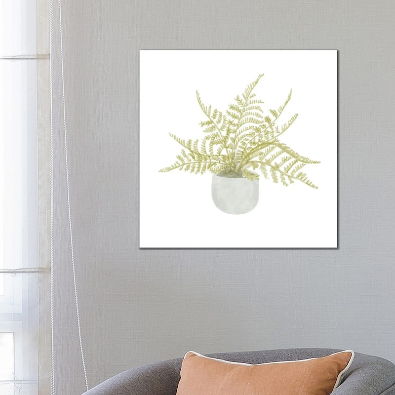 iCanvas "Potted Fern I" by Bannarot Canvas Print - 26x26x1.5