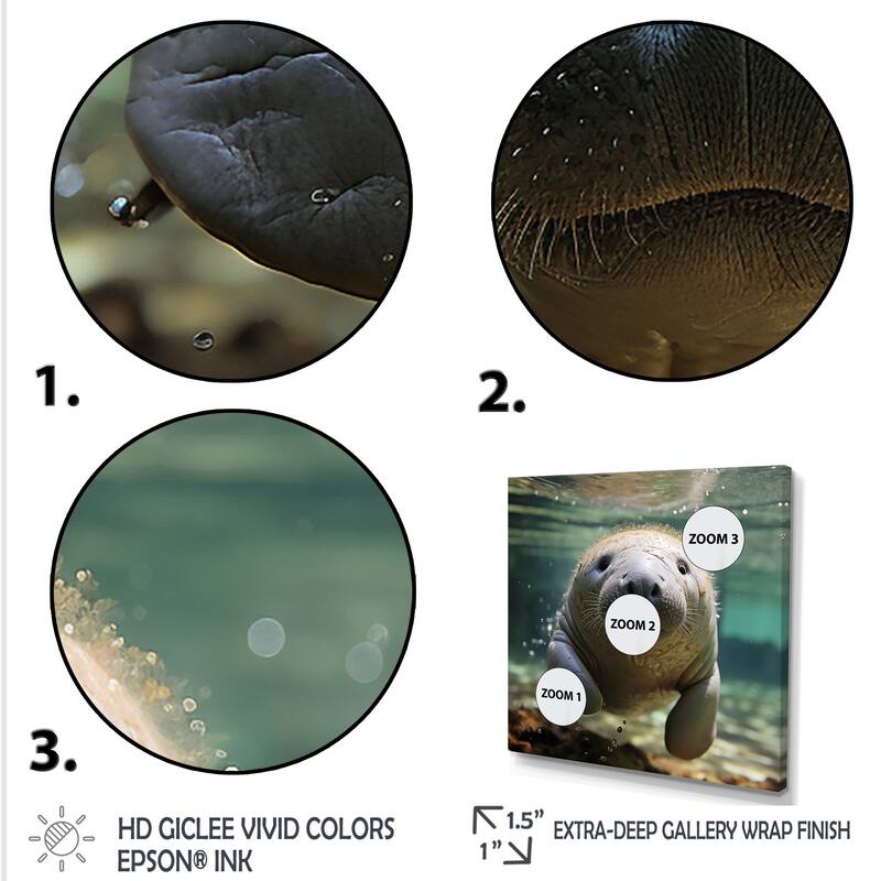 Designart "Curious Manatee Gaze II" Manatee Wall Decor Blue Modern Entryway Framed Wall Art Print