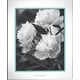 preview thumbnail 1 of 0, Kate Spade New York 854775 Take The Cake 8" X 10" Rectangular Frame, Silver