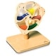 preview thumbnail 1 of 4, Learn Well Rotating Bead Wheel - Assorted Assorted - Kids