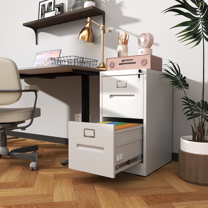 2 Drawer File Cabinet with Lock Metal Vertical File Cabinet Office Home, A4 Legal/Letter Size Narrow File Cabinet Locked