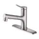Option Brushed Nickel