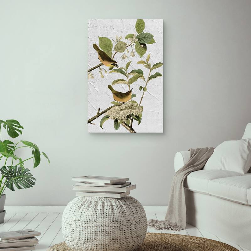 Audubon Yellow Breasted Warbler Texture by Design Lab Canvas Art Print