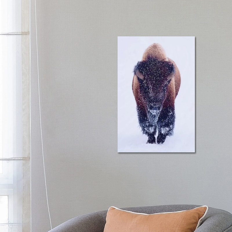 iCanvas "Bison In Snow" by OLena Art Canvas Print - 26x18x1.5
