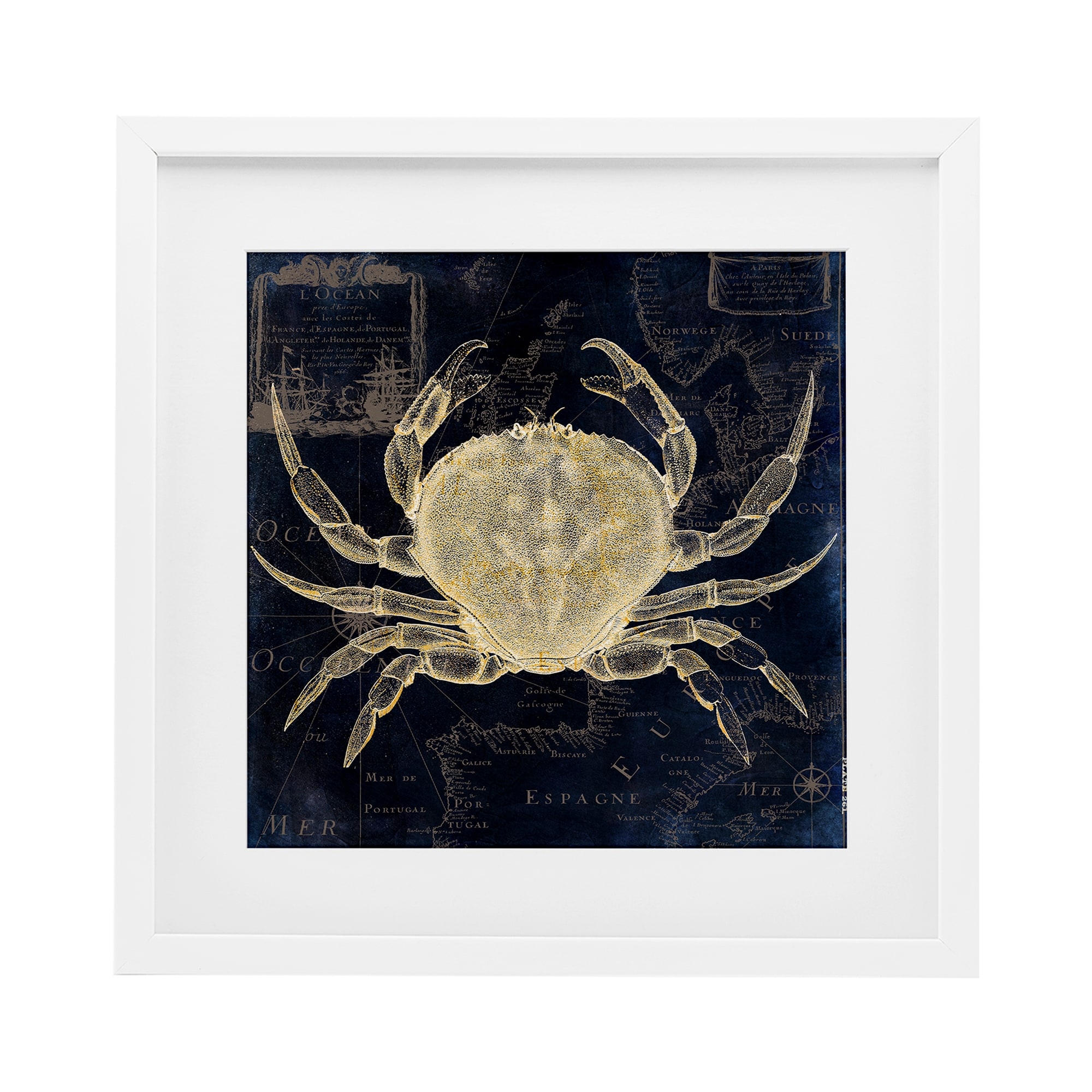 Stupell Crab Contour over Map Under Glass Framed Design By Sasha