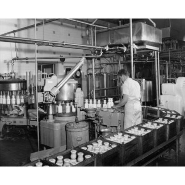 Manual Worker Working In A Dairy Factory Poster Print Item