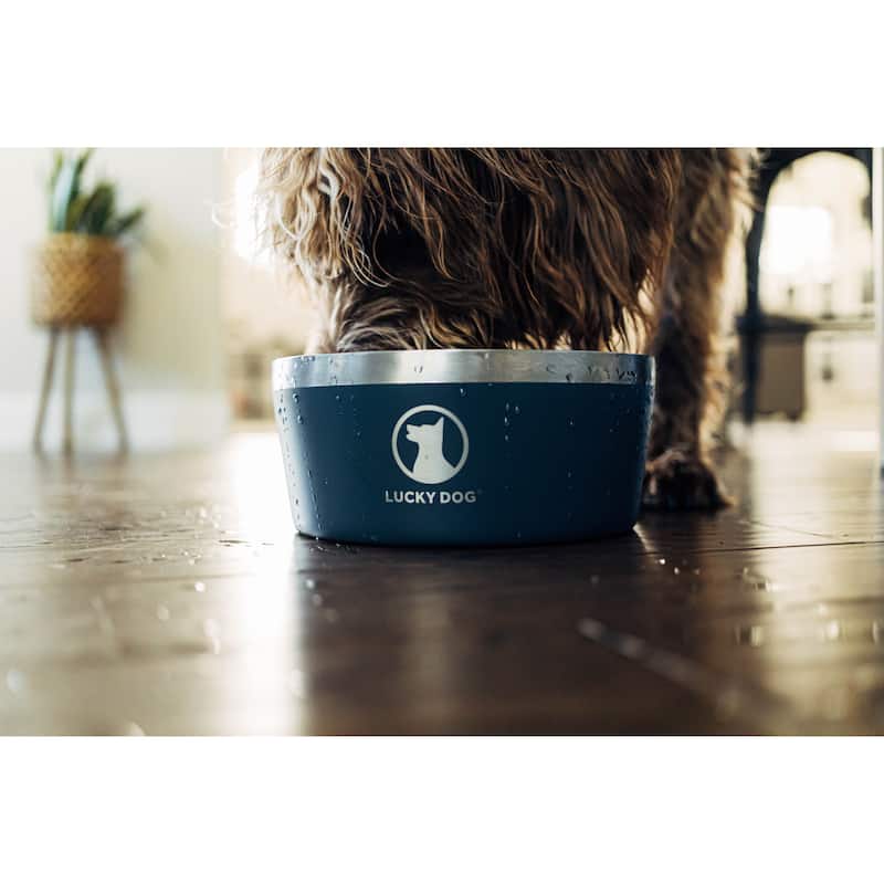 Lucky Dog INDULGE Double Wall Stainless Steel Dog Bowl Non Slip Lifetime Warranty