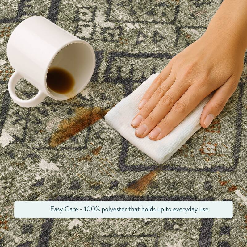 Machine Washable Indoor/ Outdoor Global Andes Chantille Rug