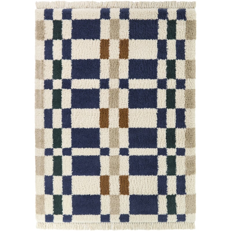 Barnabe Checkered Colorblock Area Rug
