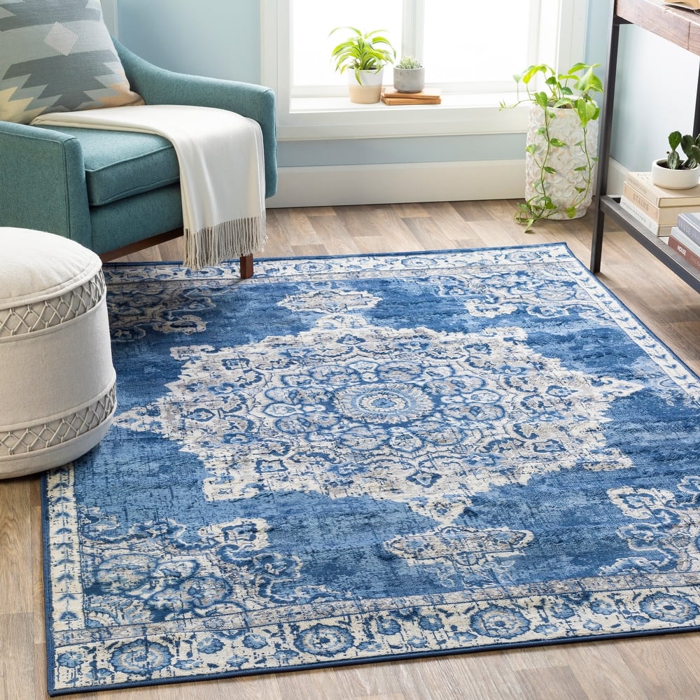 Livabliss Muradbegovic Persian Medallion Area Rug