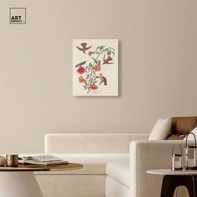 Humming Bird 1834 Canvas by Art Remedy, Gallery Wrapped