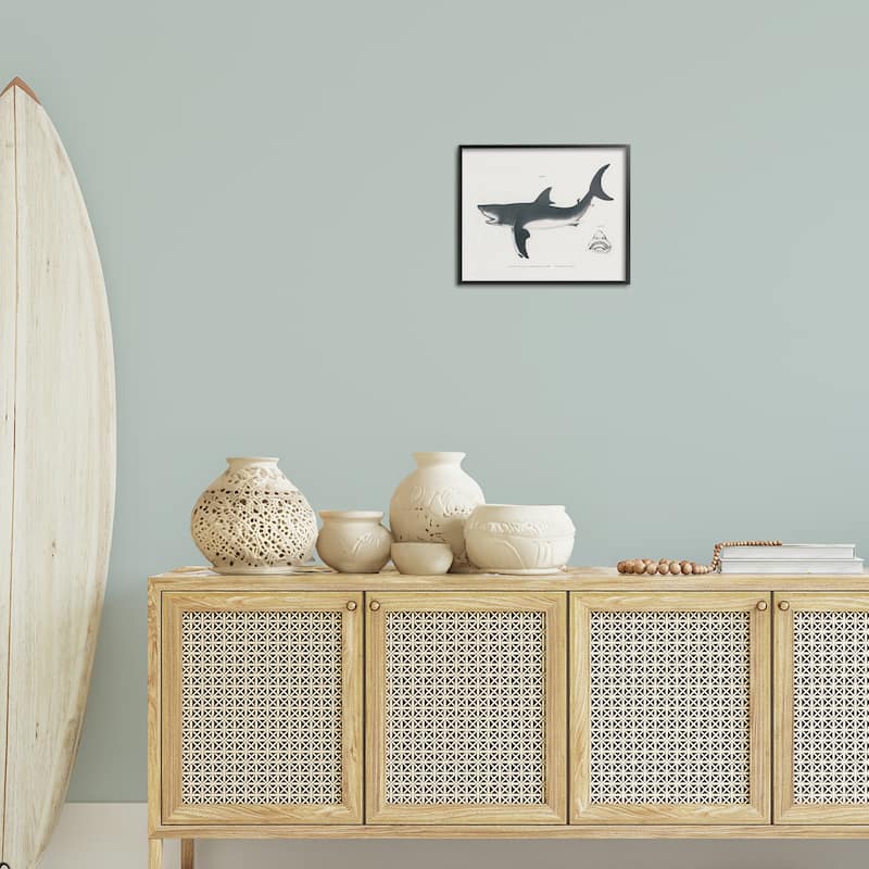 Stupell Detailed Shark Diagram Framed Giclee Art Design By Phillipa Katz
