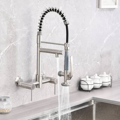 Dornberg Wall Mount Kitchen Faucet with Sprayer, 2 Handle Pull Down Faucet