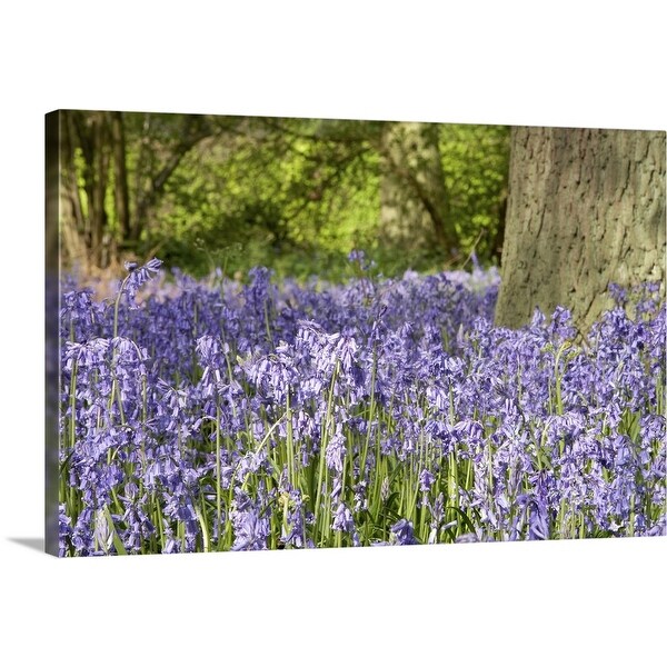 "Lavender field" Canvas Wall Art