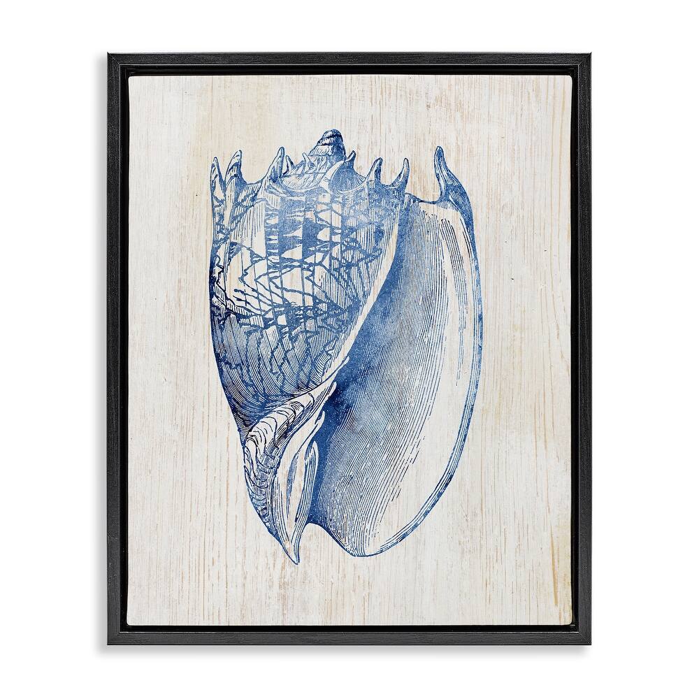 Stupell Nautical Soft Blue Conch Framed Floater Canvas Wall Art Design By Susan Arnot