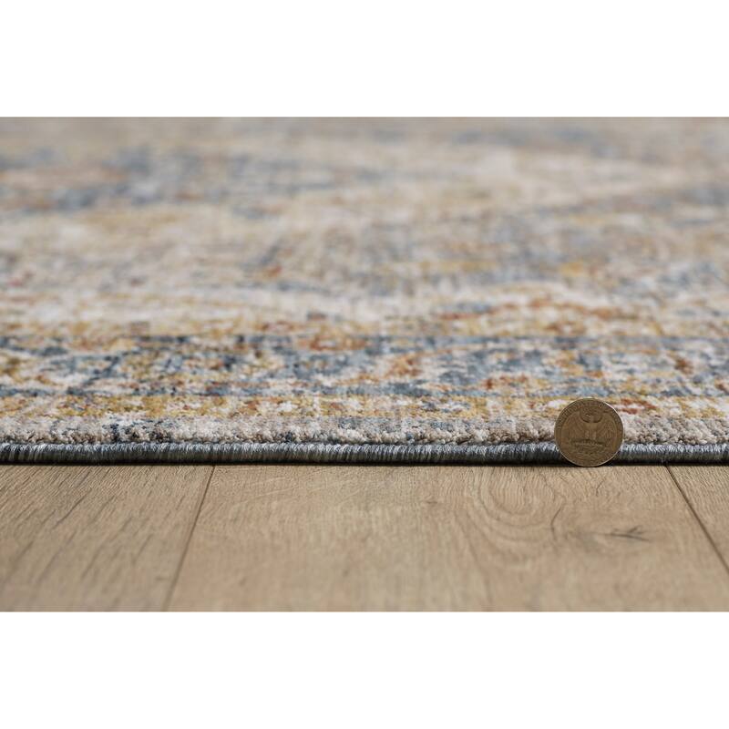 Domani Opulence Distressed Persian Area Rug
