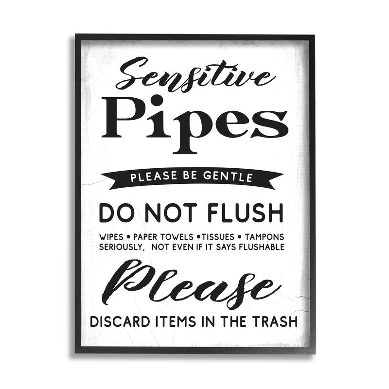 Stupell Sensitive Toilet Pipes Sign Flushing Restrictions Framed Wall Art - White - 16 x 20 - Black