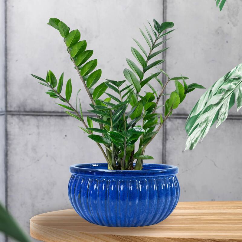 Sunnydaze Ribbed Glazed Ceramic Planter Bowl - Imperial Blue
