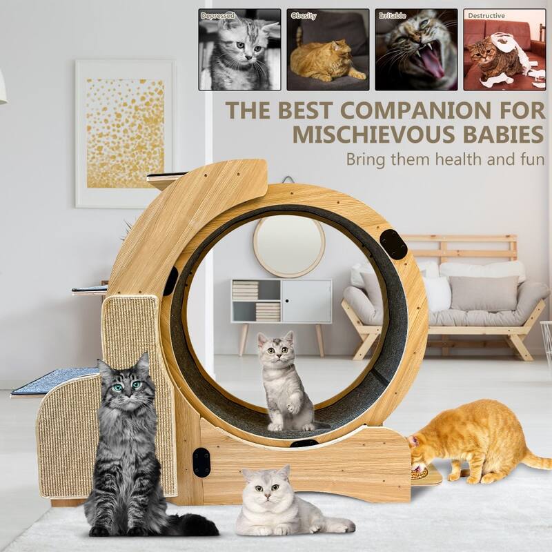 Cat Exercise Wheel With Silent Wheel Wood