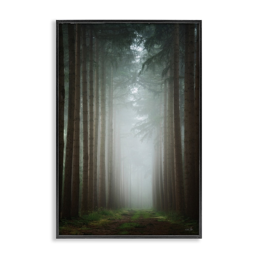 Stupell Moonlight Through Dark Forest Framed Giclee Art Design By Martin Podt