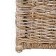 preview thumbnail 13 of 14, happimess Caden 46" Wicker Storage Trunk, Natural