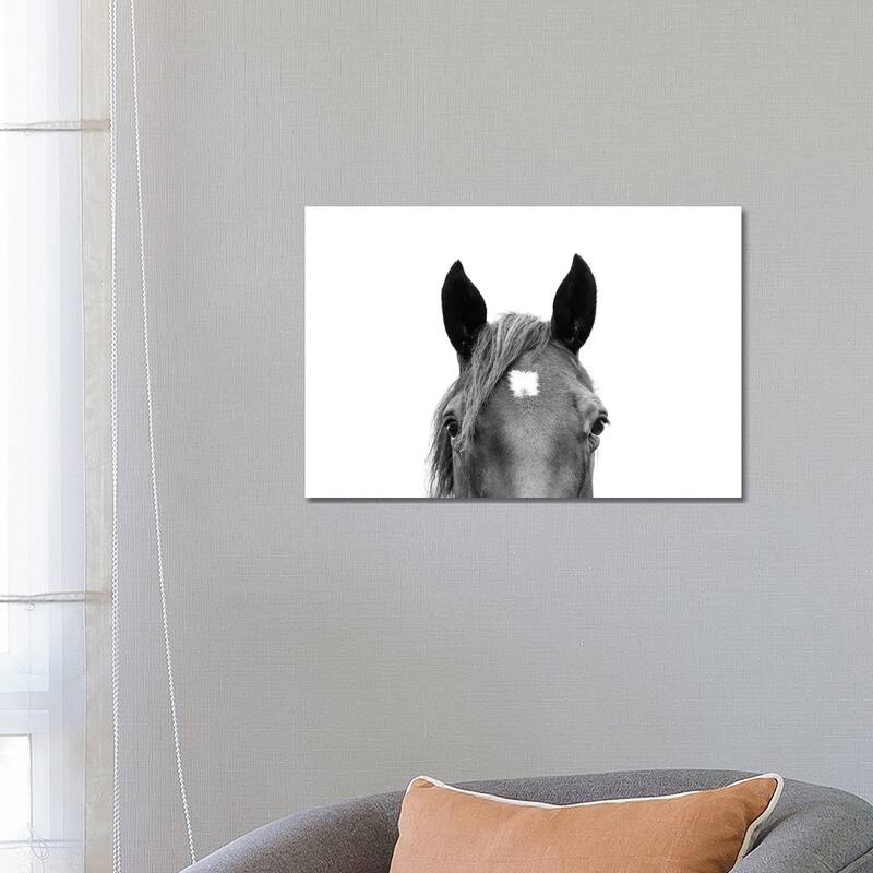 iCanvas "Peeking Horse In Black & White" by Sisi & Seb Canvas Print - 18x26x1.5