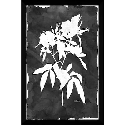 "Black Botanical I" by Carol Robinson Print on Acrylic