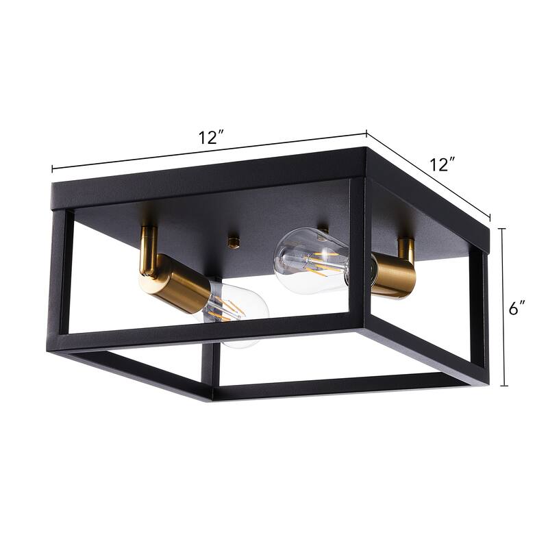 CO-Z 12-inch Industrial Caged Flush Mount Ceiling Light