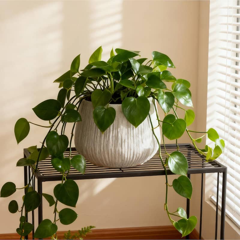 11"Dia x 9.06"H Large Round Planters, Outdoor Planters with Drainage Holes, Plant Pot with Cement Texture Plant Pots - LIGHT GREY