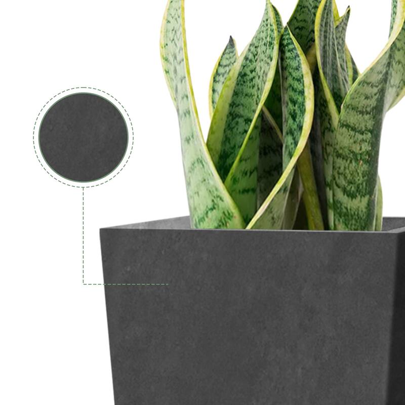 Roakken Black Lightweight Concrete Tapered Rectangle Planter by Havenside Home