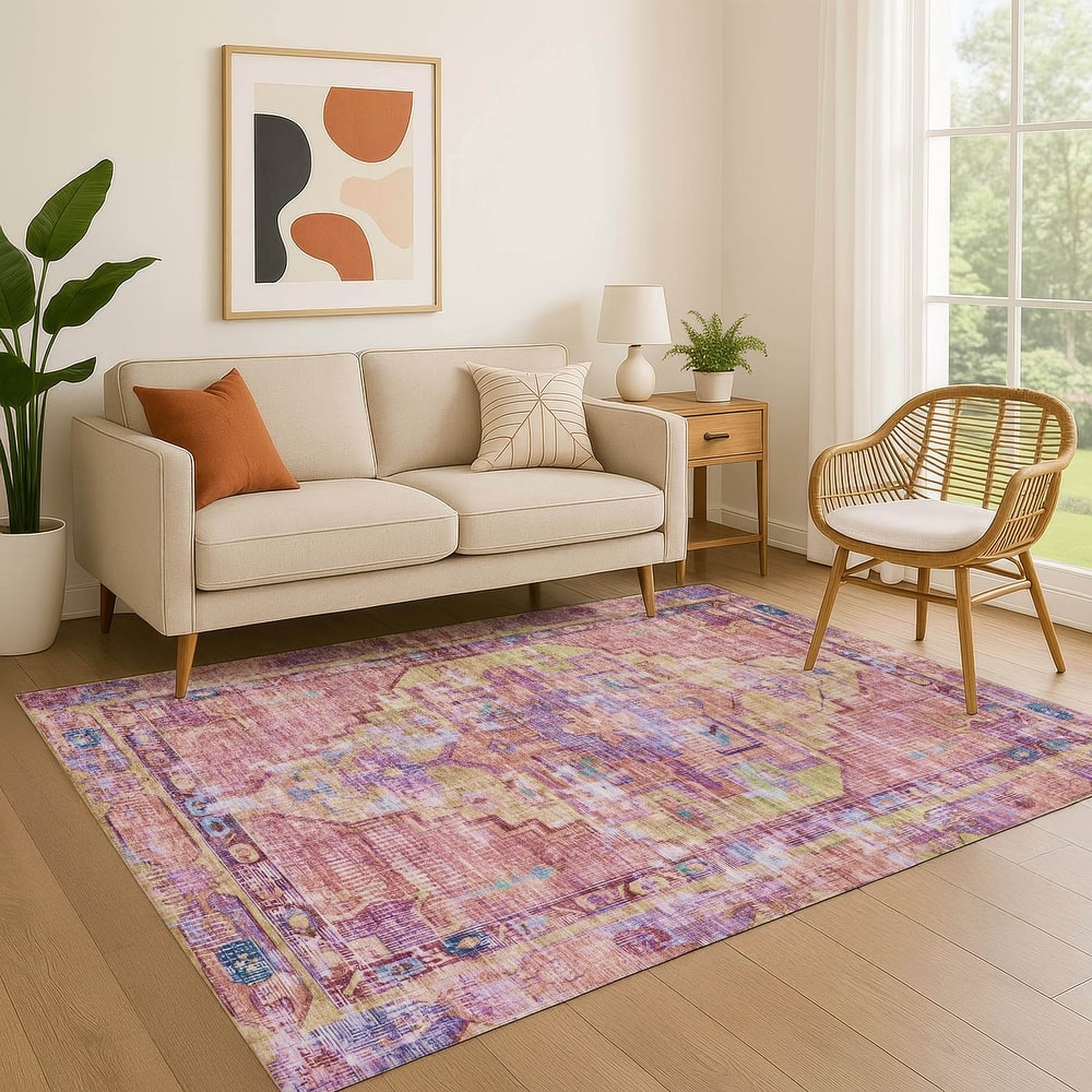 Premium Washable Super Soft Vintage Traditional Mayfield Rug