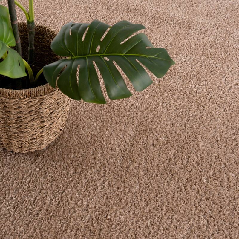 Judy Area Rug