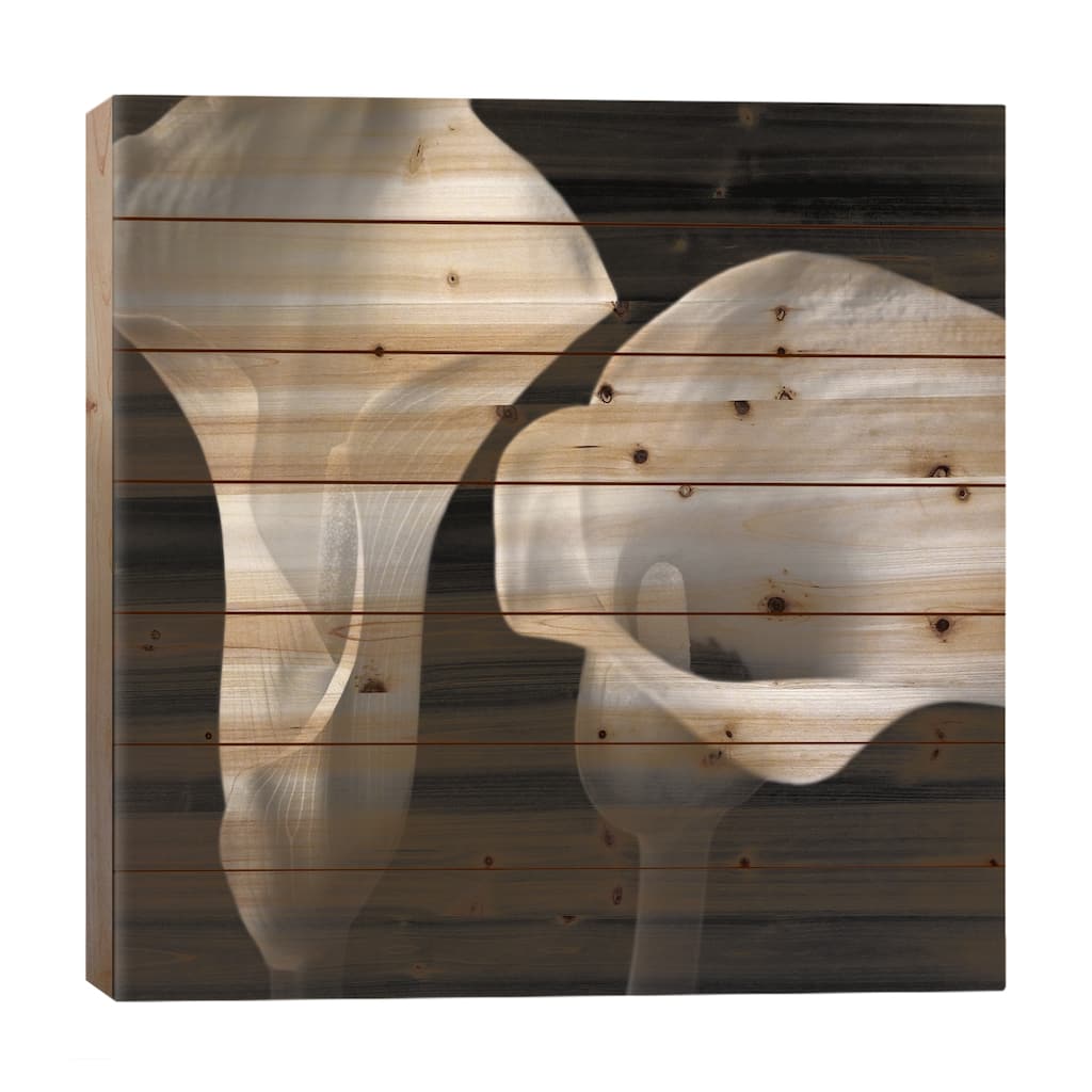 Softness II Print On Wood by Assaf Frank - Multi-Color