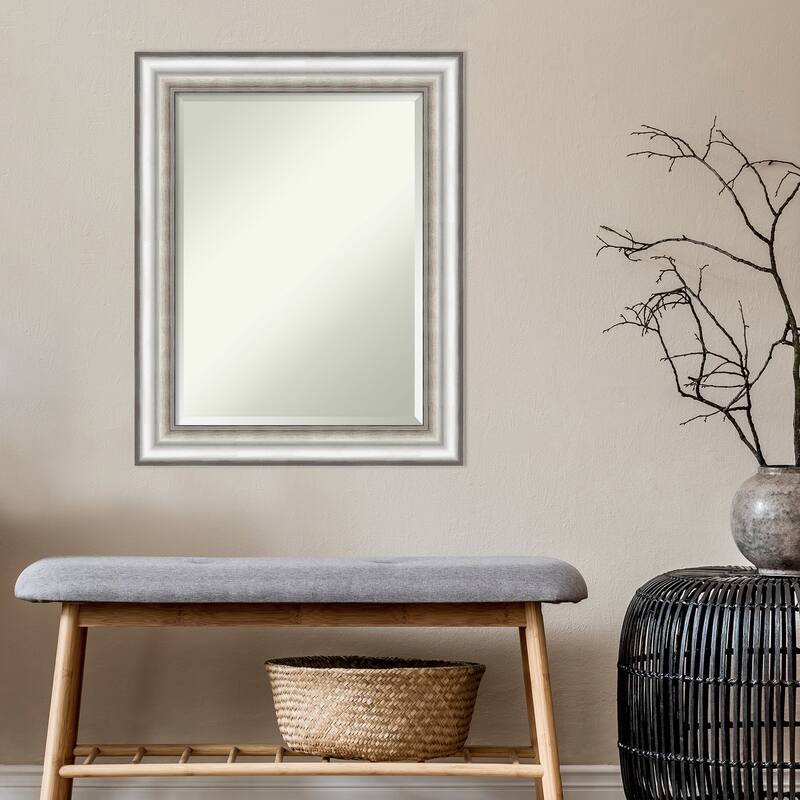 Beveled Wall Mirror - Salon Silver Frame - Salon Silver