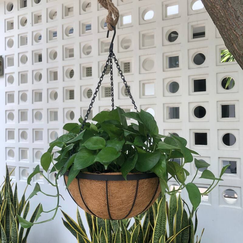 12"-14"-16" DreamPatio Hanging Basket Planter with Coconut Coir