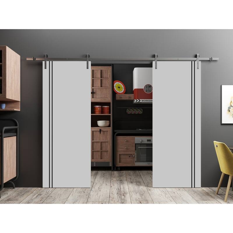 Sturdy Double Barn Door 36 x 80 with Planum 0016 Grey Matte with 13FT