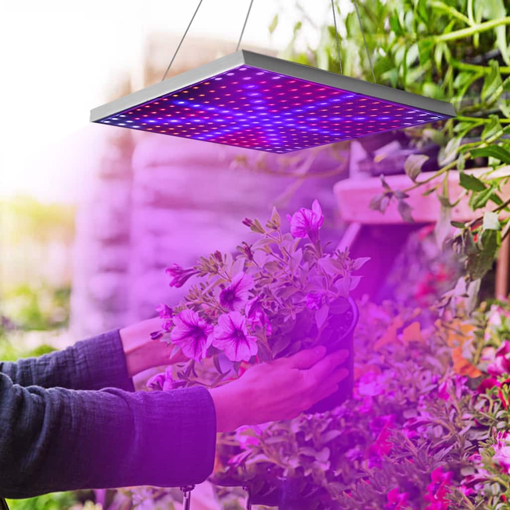 225 LED Full Spectrum Hanging Grow Light for Indoor Plants Herbs Vegetables Succulents - Purple - 12.2”×12.2”×1.4”