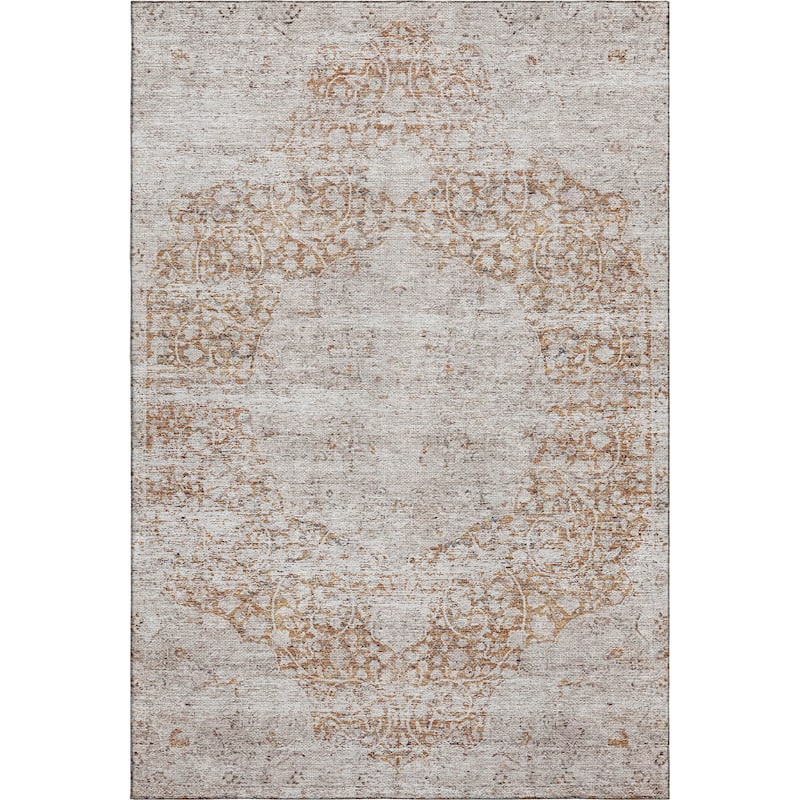 Premium Washable Super Soft Vintage Persian Mayfield Rug
