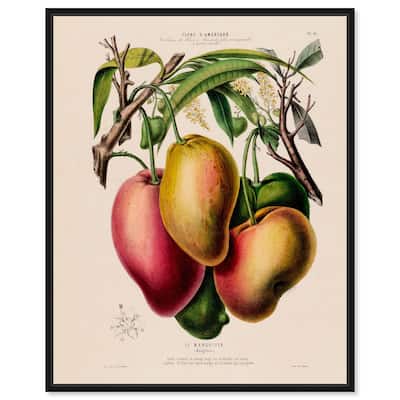 Mangoes by Etienne Denisse Canvas by Art Remedy
