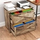 preview thumbnail 3 of 7, Barn Door Wooden 2 Drawers With Lock 25.79"H