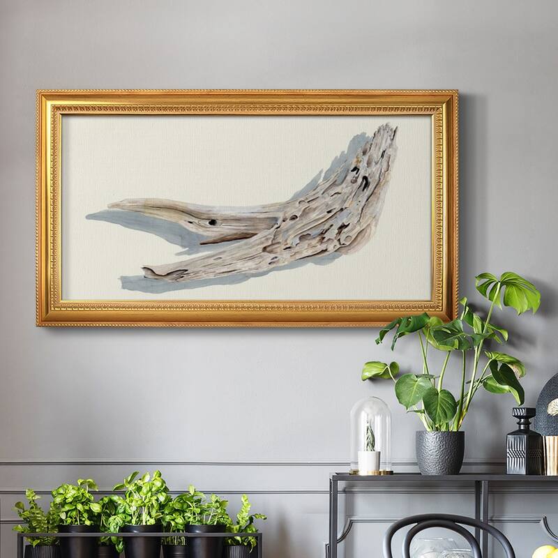Driftwood Study III Premium Framed Canvas- Ready to Hang