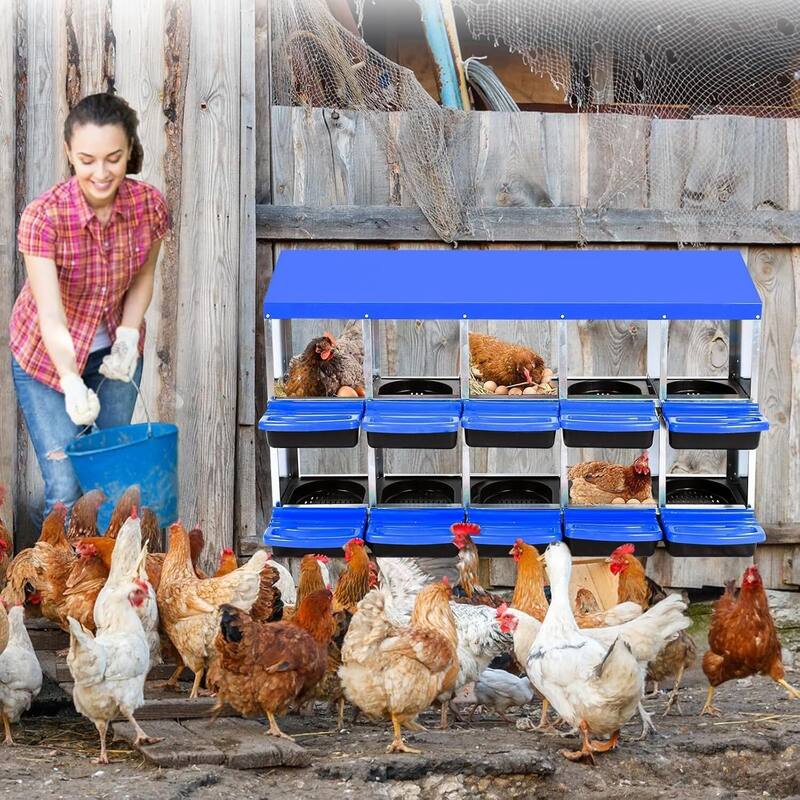 10-Hole Metal Chicken Nesting Box or Easy Cleaning