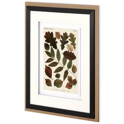 Autumnal Leaves V Framed Art Print
