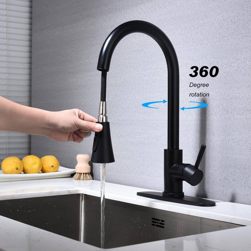 Kitchen Faucet with Pull Out Spraye 