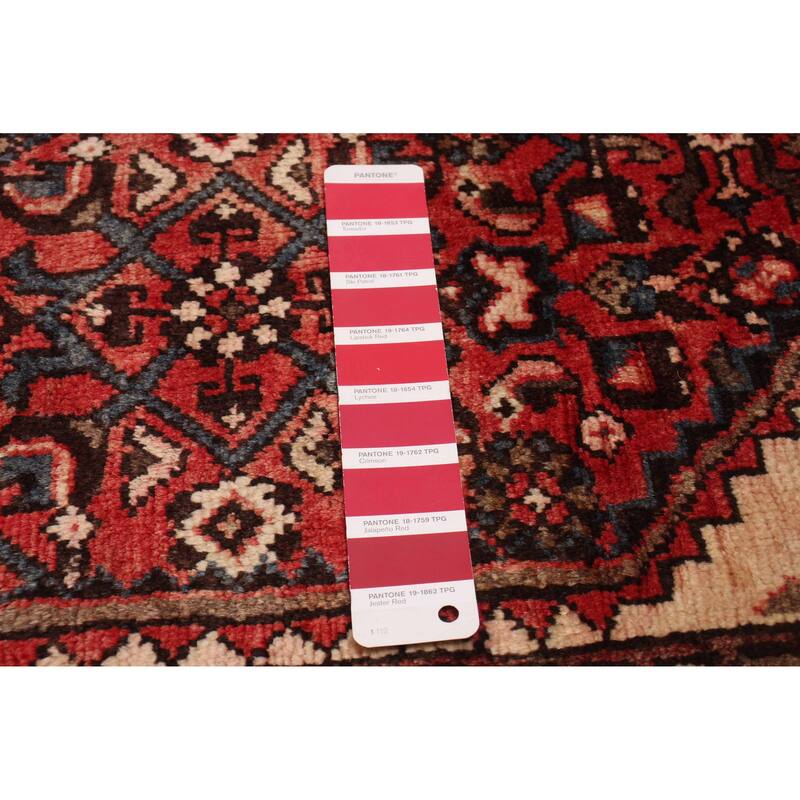 ECARPETGALLERY Hand-knotted Andelz Red Wool Rug - 3'11 x 10'3