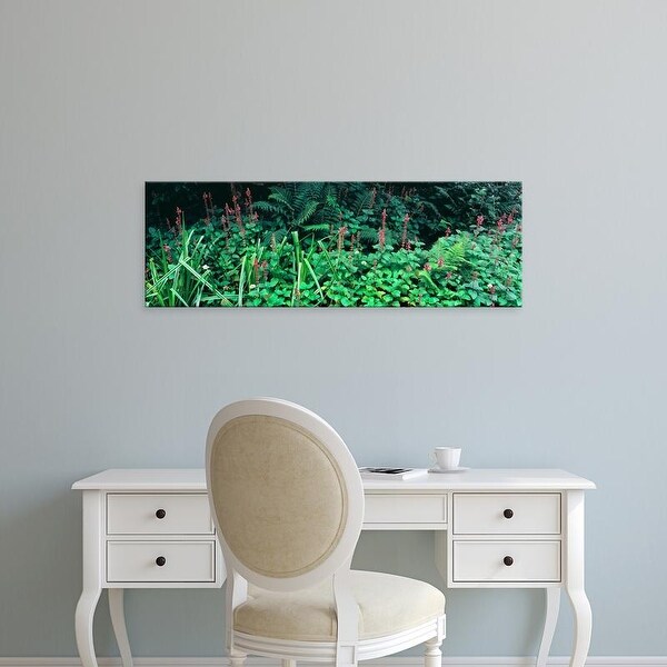 Easy Art Prints Panoramic Image 'Plants, Point Reyes National Seashore, Point Reyes, Marin, California' Canvas Art