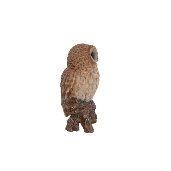Small Tawny Owl On Stump