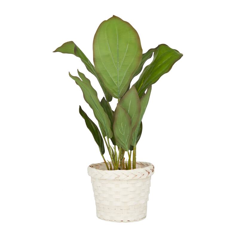 Faux Foliage Dieffenbachia Artificial Plant with Realistic Leaves and Rattan Pot - Green - Roche River Decor