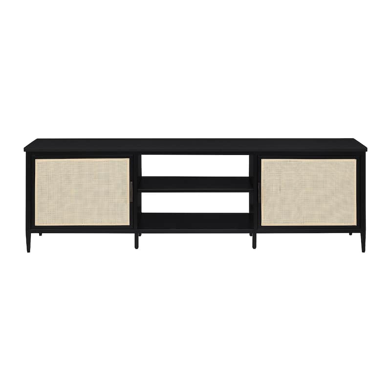 2 Doors and 2 Open Shelves Metal TV Stand in Black - Black