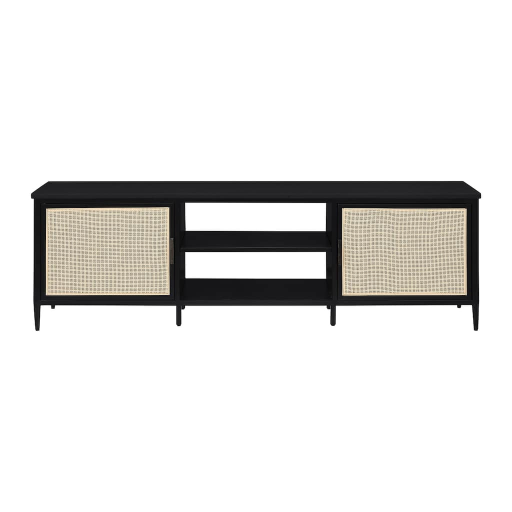 2 Doors and 2 Open Shelves Metal TV Stand in Black